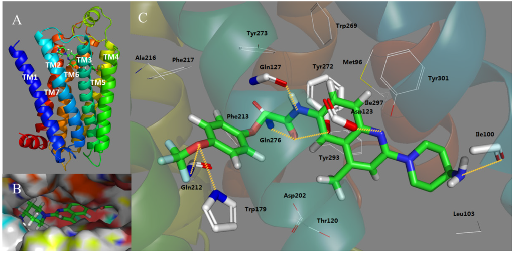Ijms 15 15475 g005 1024