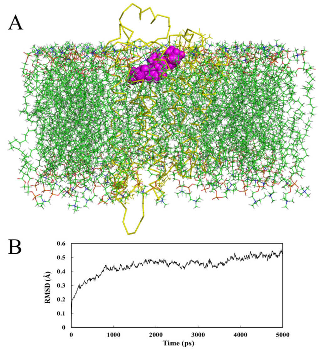 Ijms 15 15475 g008 1024