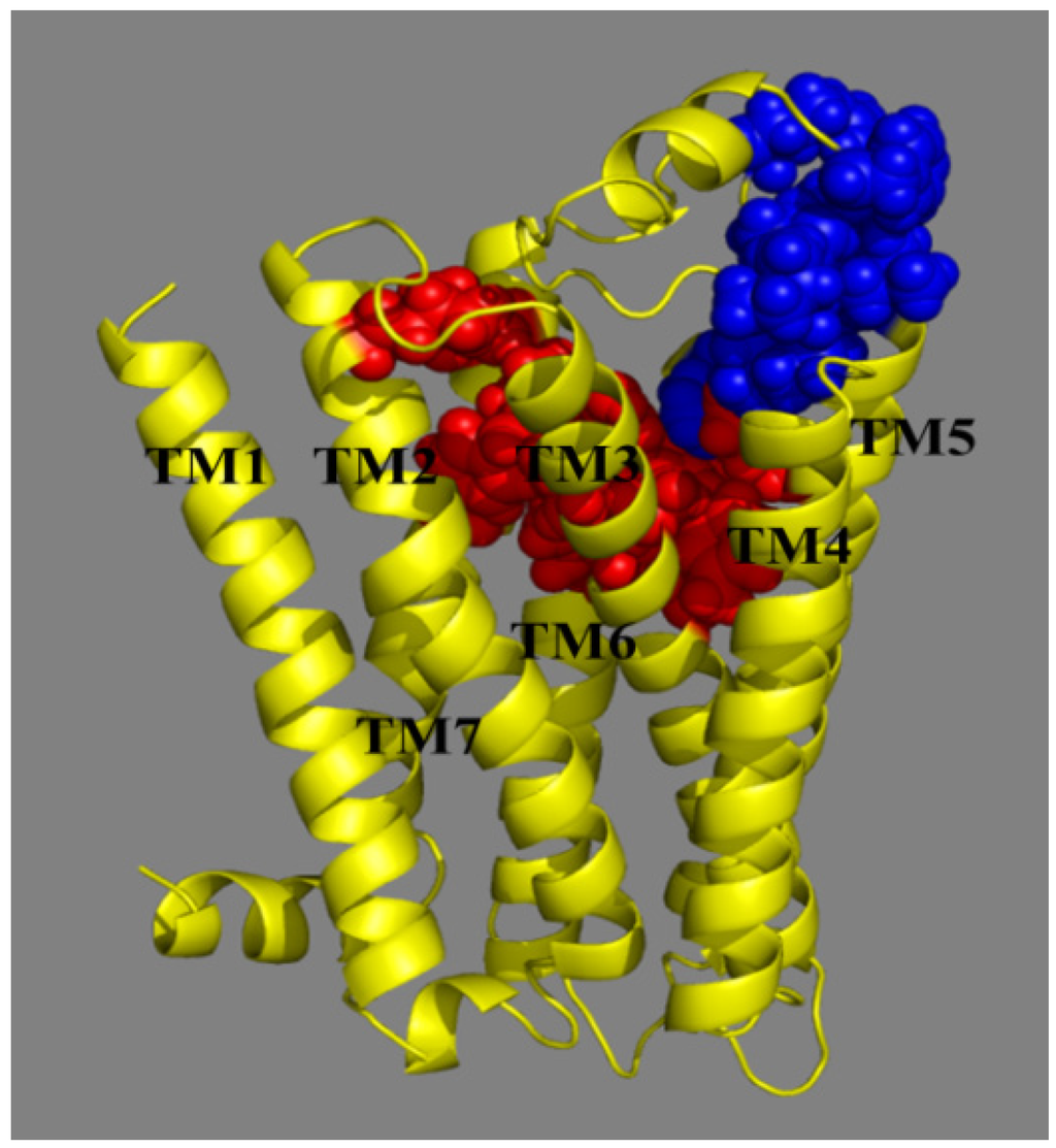 Ijms 15 15475 g011 1024