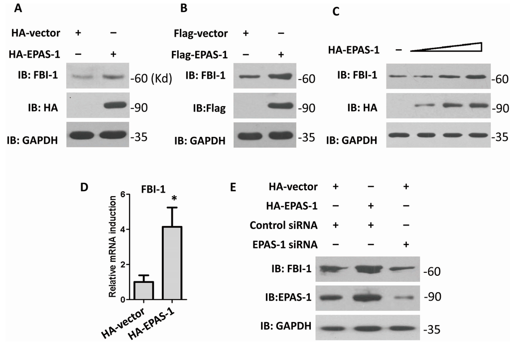 Ijms 15 15689 g001 1024