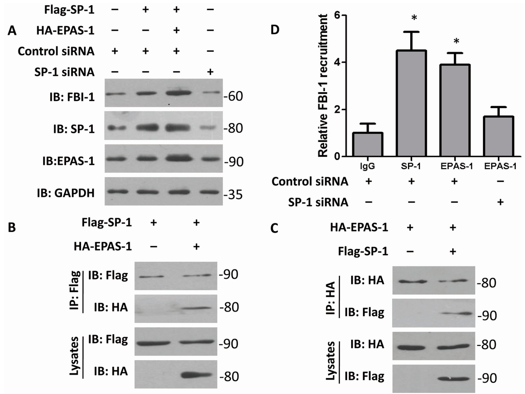 Ijms 15 15689 g002 1024