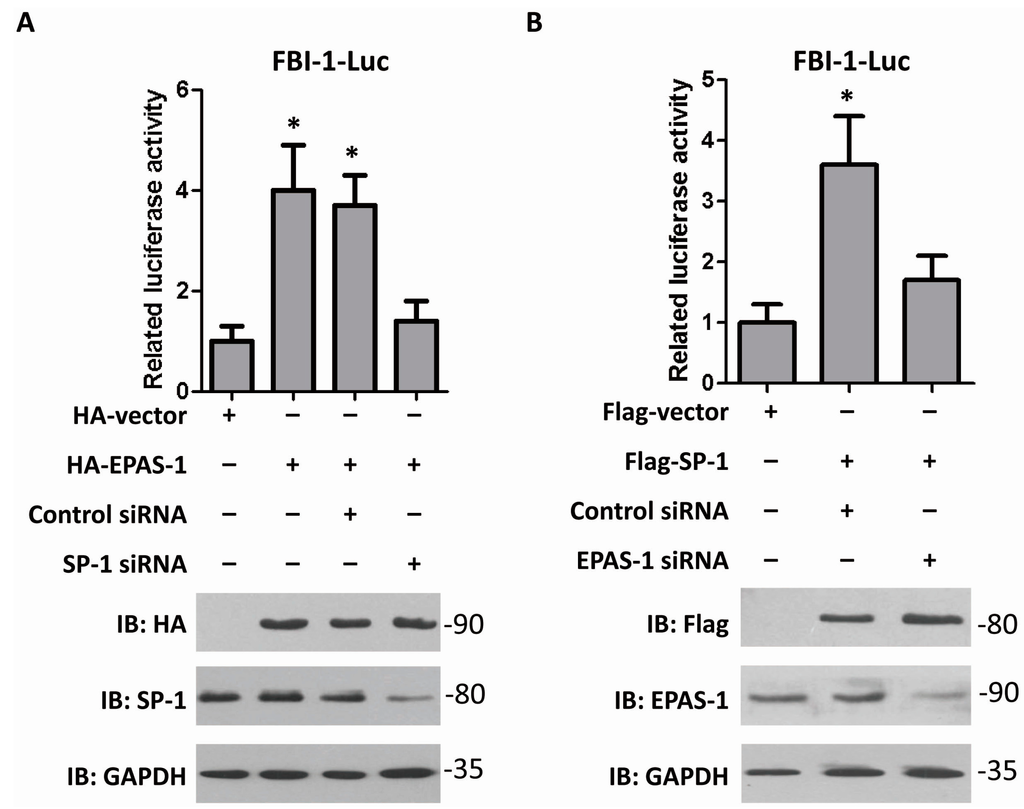 Ijms 15 15689 g003 1024