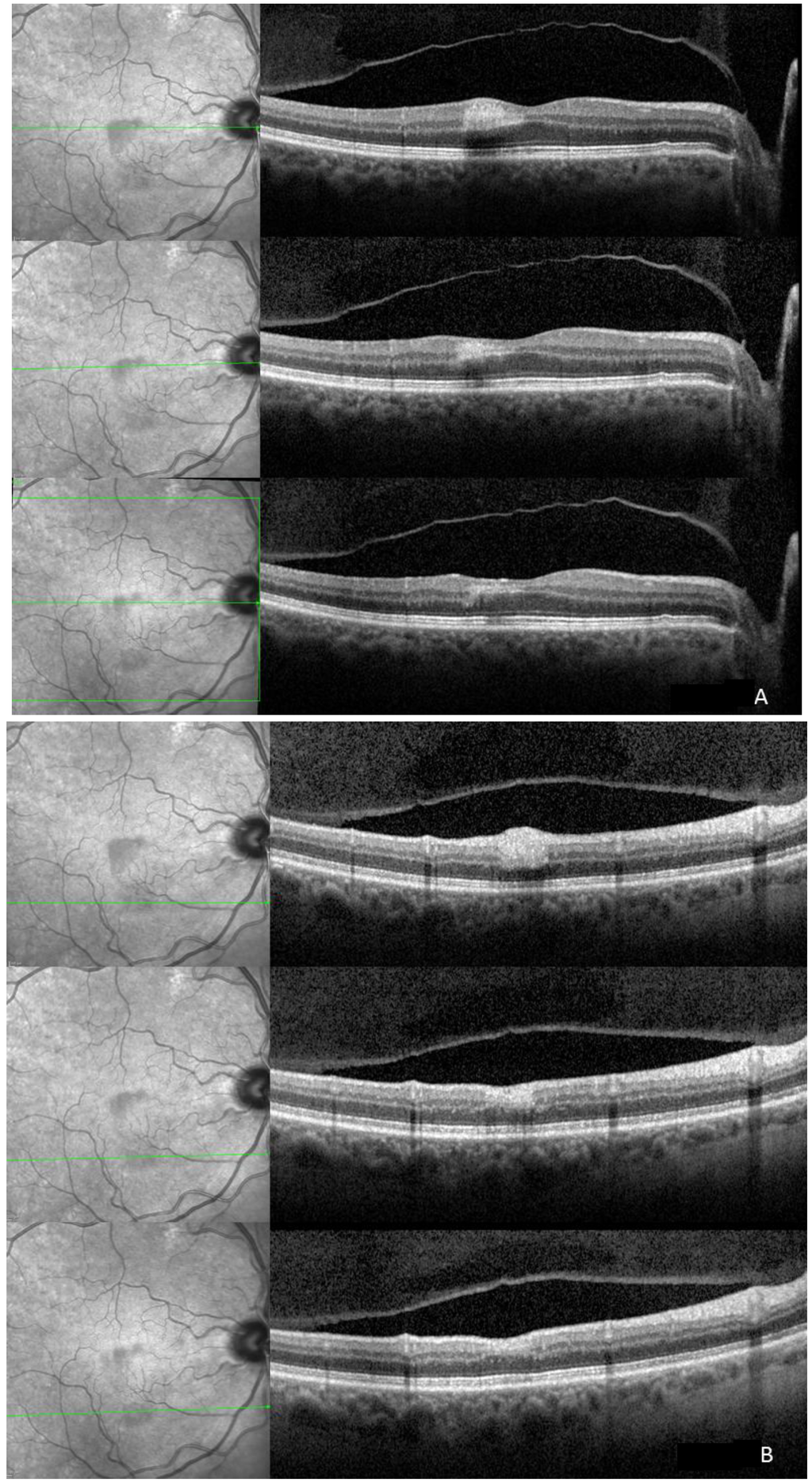 Ijms 15 15734 g002 1024