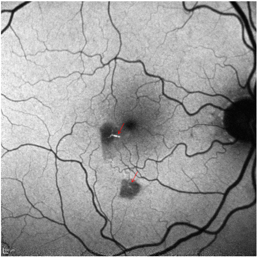 Ijms 15 15734 g003 1024