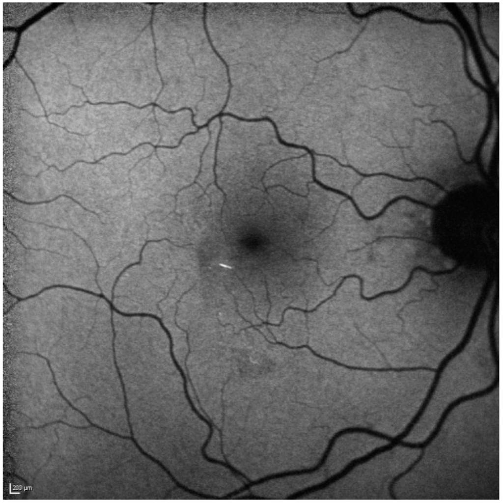 Ijms 15 15734 g004 1024