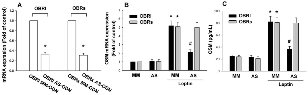 Ijms 15 15778 g002 1024