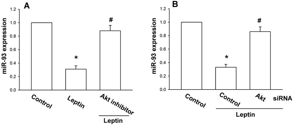 Ijms 15 15778 g005 1024