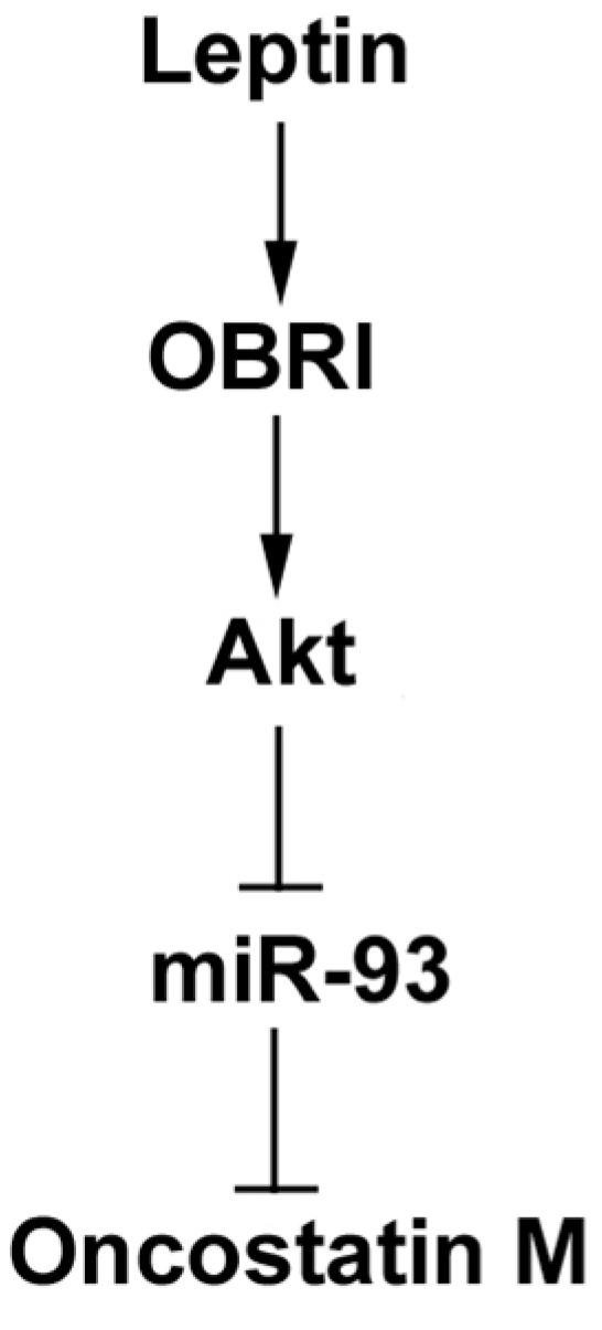 Ijms 15 15778 g006 1024