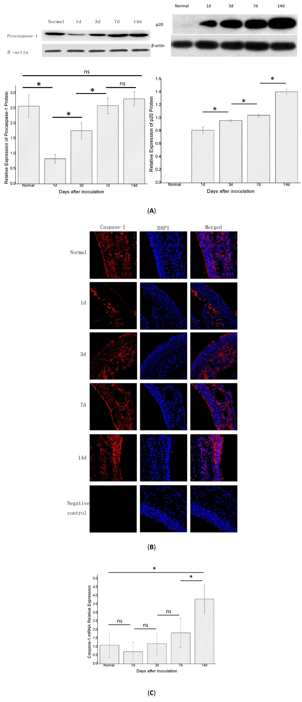 Ijms 15 15806 g005 1024