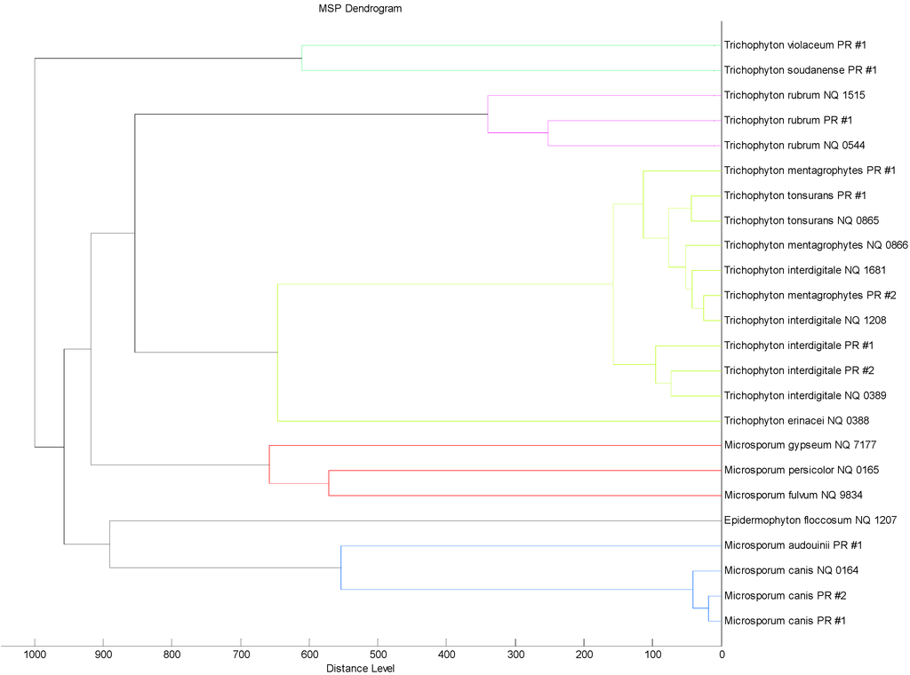 Ijms 15 16012 g002 1024