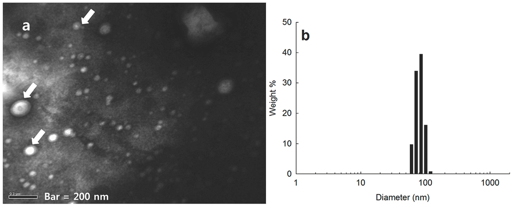 Ijms 15 16057 g002 1024