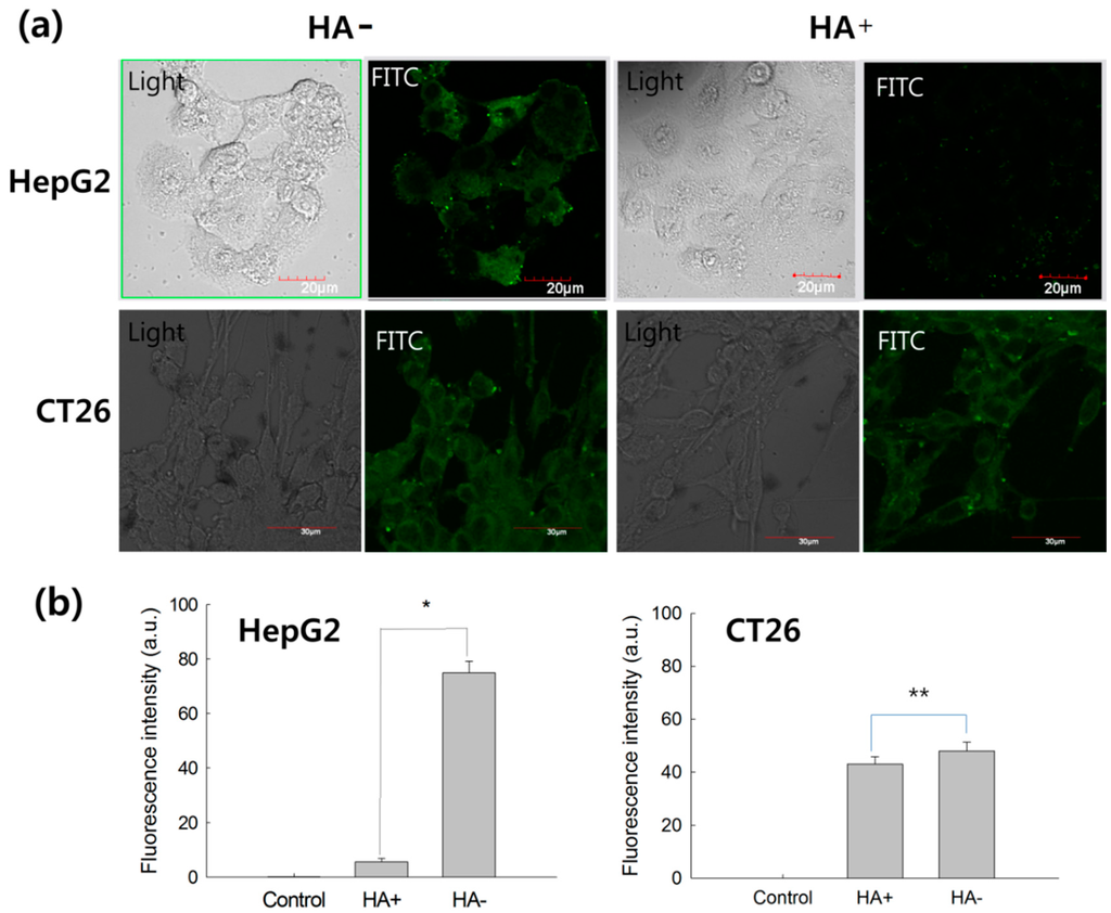 Ijms 15 16057 g007 1024