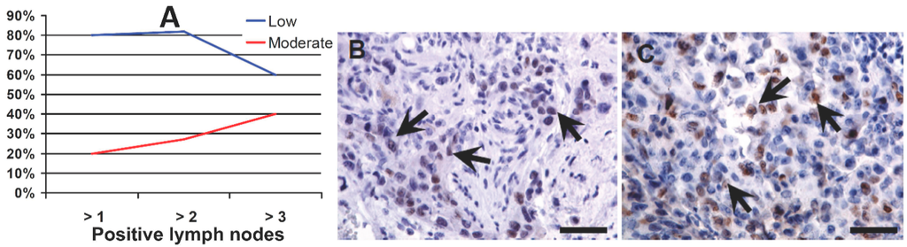 Ijms 15 16069 g001 1024