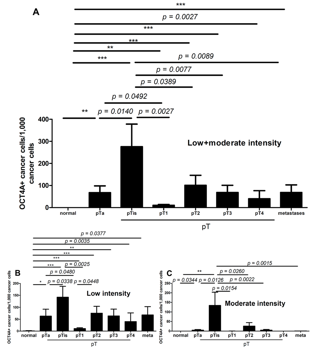 Ijms 15 16069 g002 1024