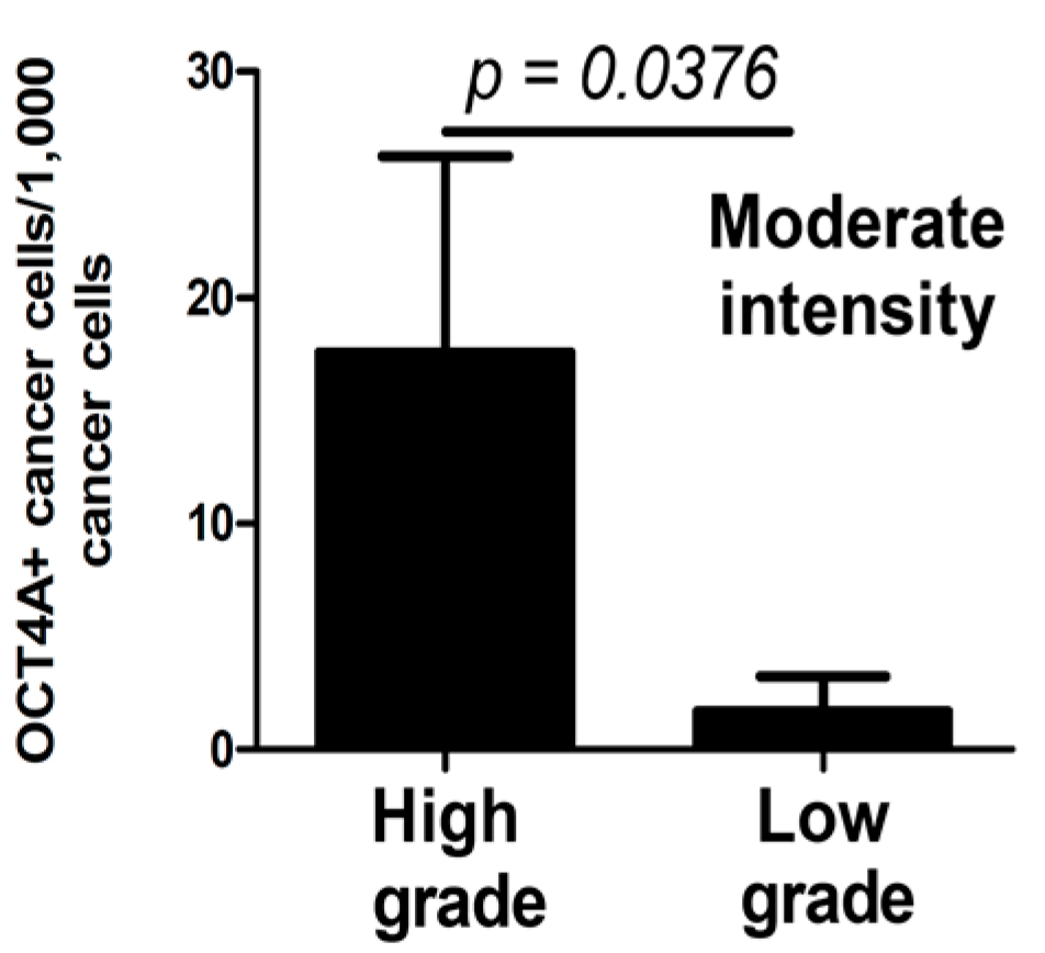 Ijms 15 16069 g004 1024