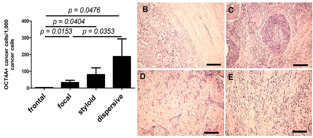 Ijms 15 16069 g005 1024