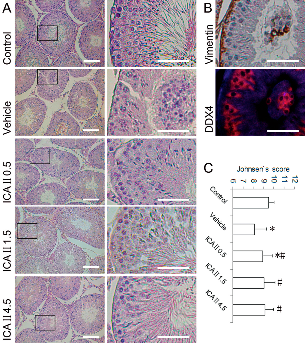 Ijms 15 16100 g002 1024