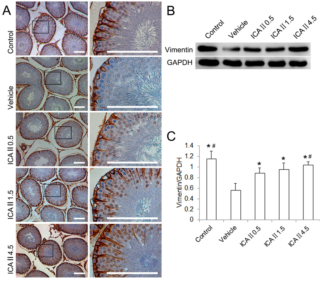 Ijms 15 16100 g003 1024