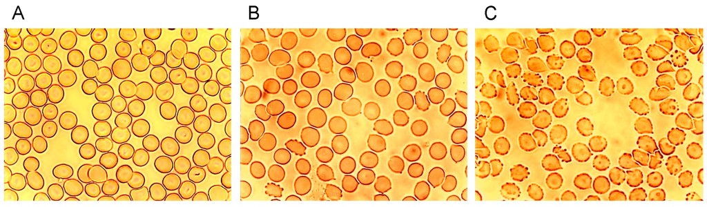 Ijms 15 16134 g001 1024