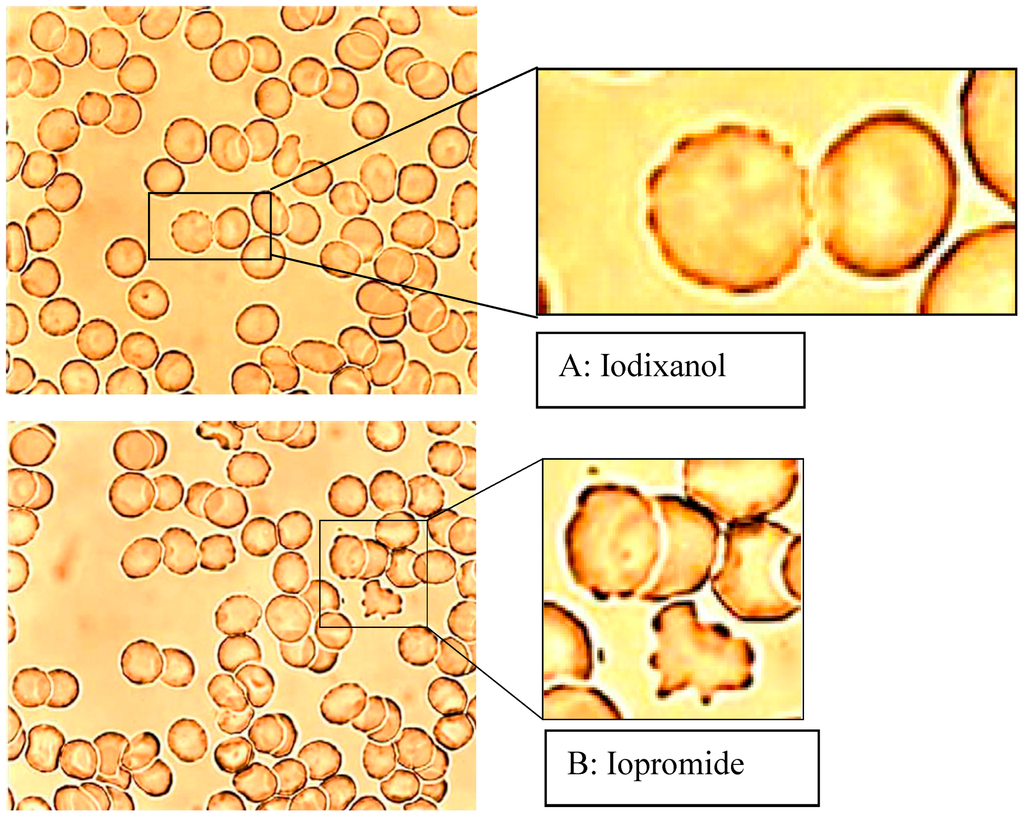 Ijms 15 16134 g002 1024