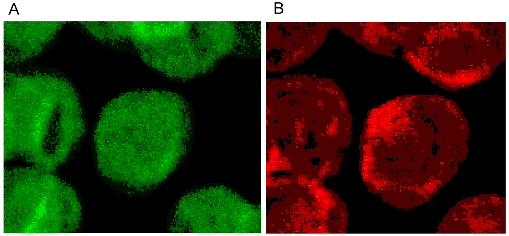 Ijms 15 16134 g003 1024