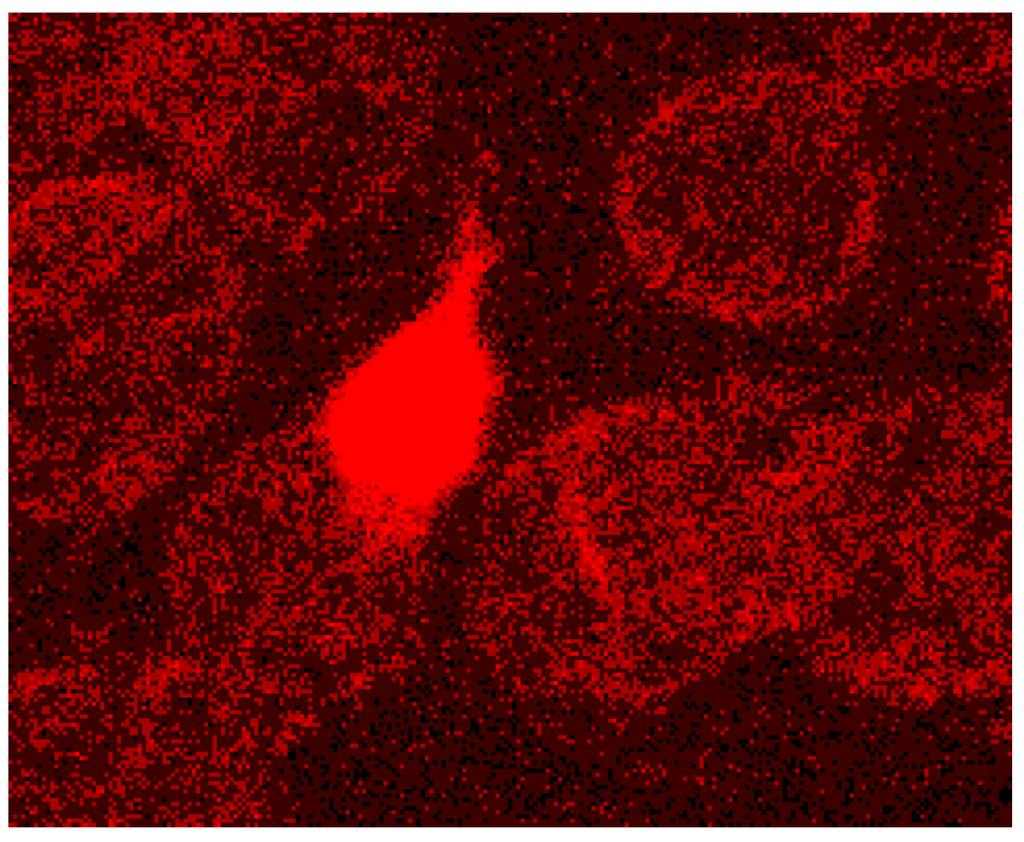 Ijms 15 16134 g012 1024