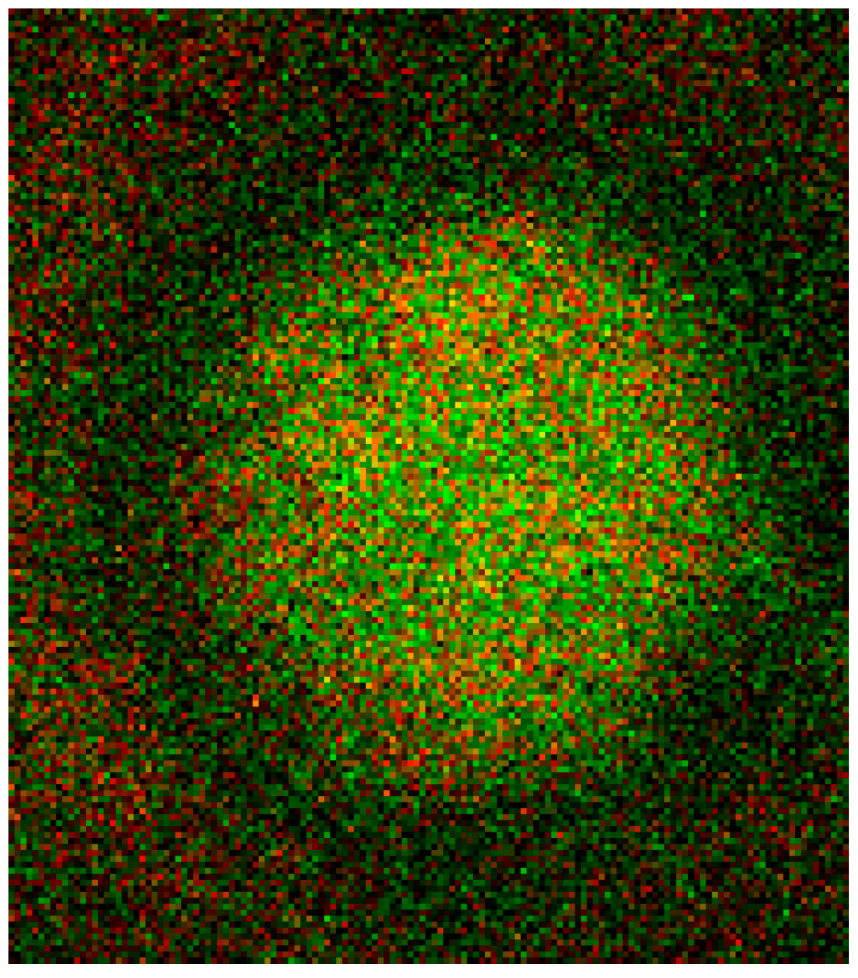 Ijms 15 16134 g016 1024