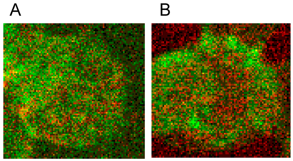 Ijms 15 16134 g017 1024