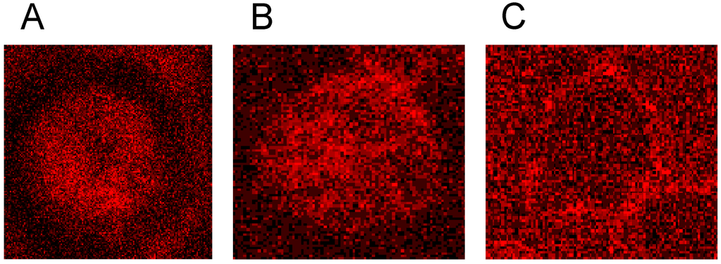 Ijms 15 16134 g018 1024