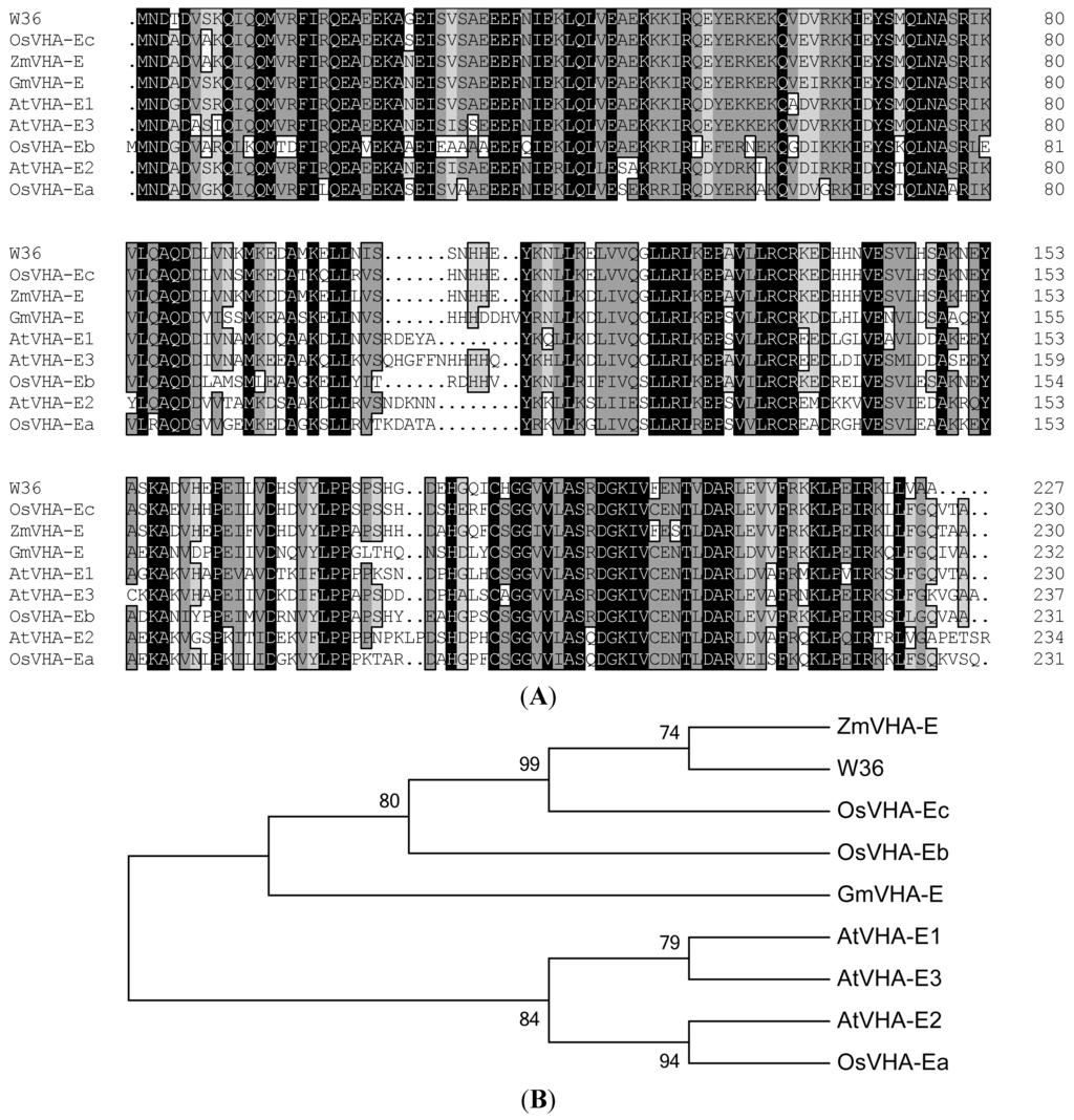 Ijms 15 16196 g001 1024