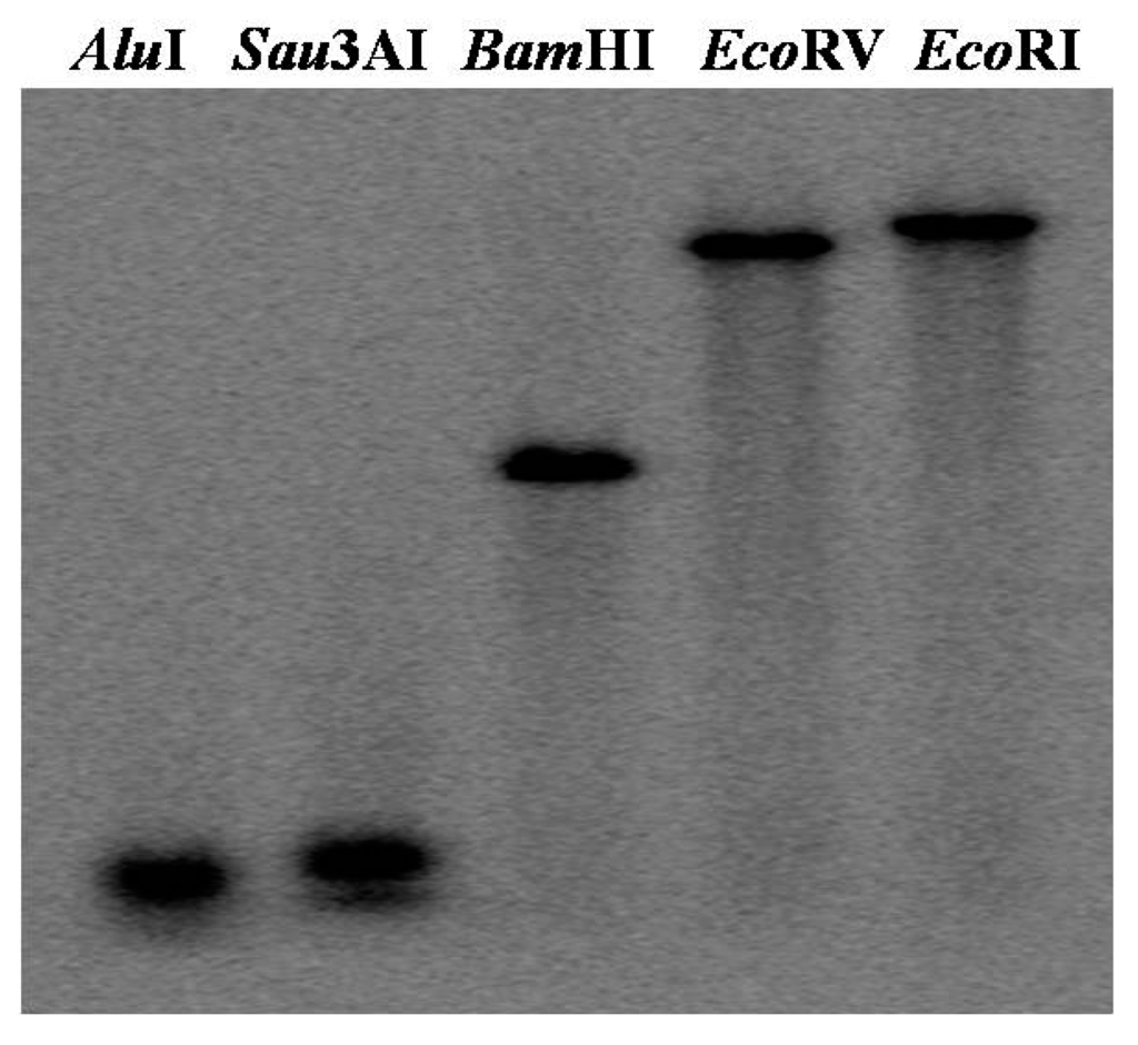 Ijms 15 16196 g002 1024