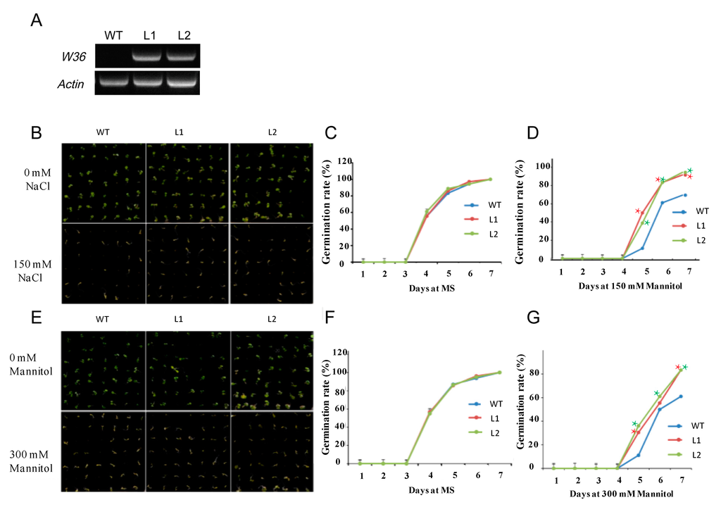 Ijms 15 16196 g005 1024
