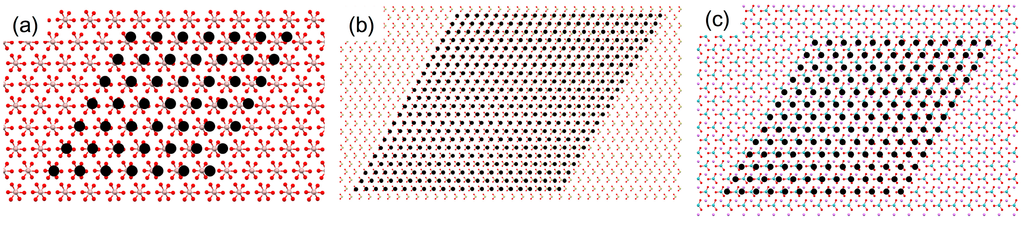 Ijms 15 16320 g005 1024