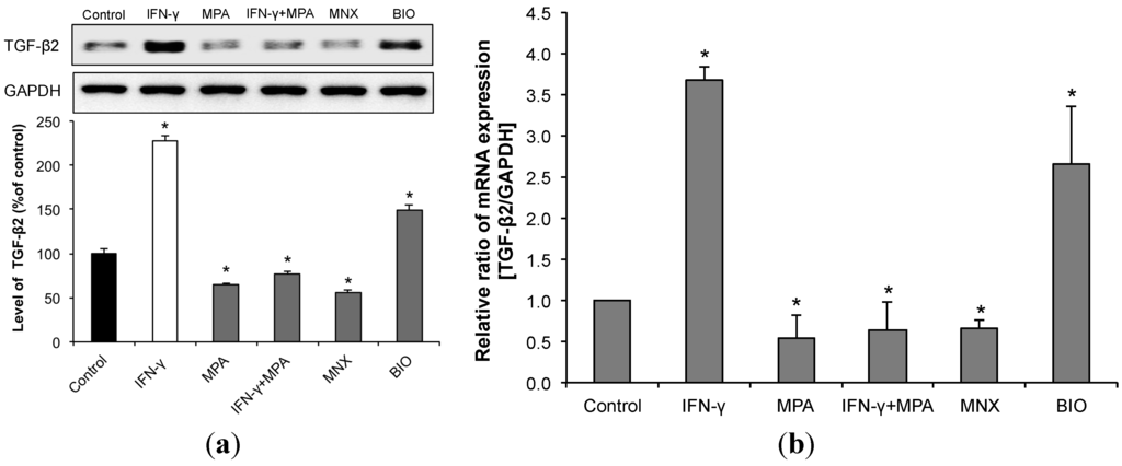 Ijms 15 16800 g005 1024