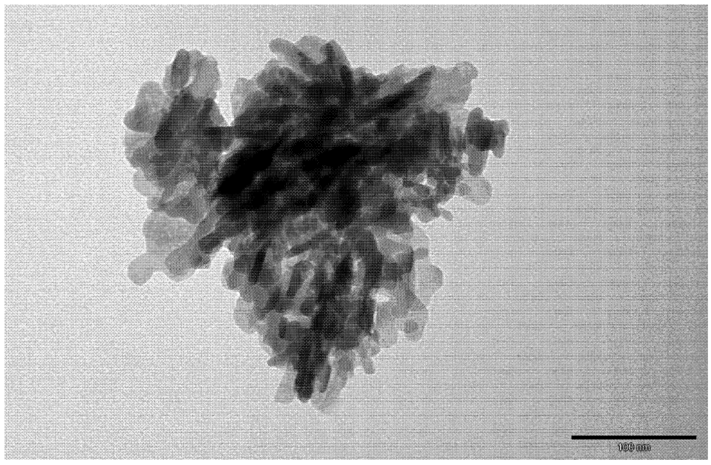 Ijms 15 16831 g005 1024