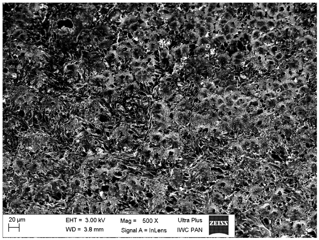 Ijms 15 16831 g006 1024