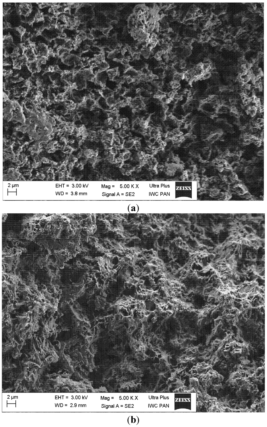 Ijms 15 16831 g011 1024