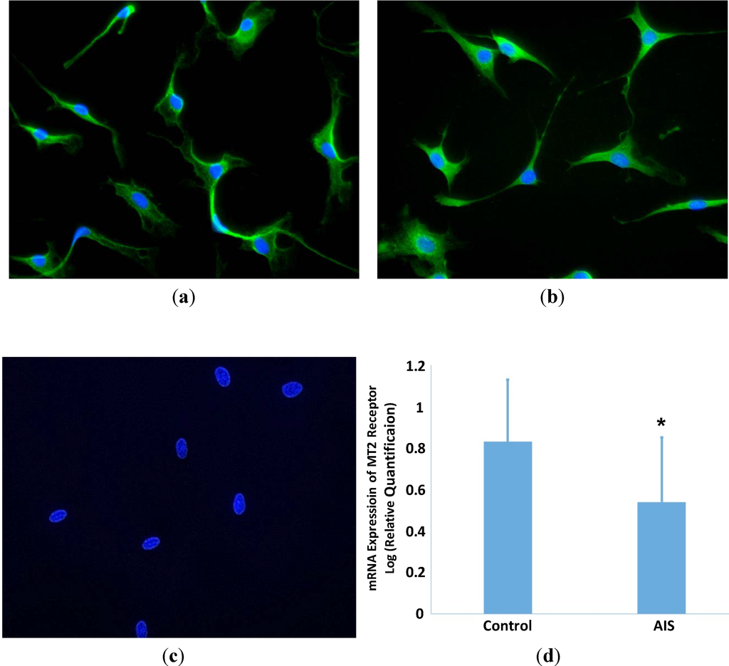 Ijms 15 17100 g001 1024