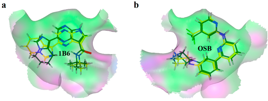 Ijms 15 17188 g003 1024