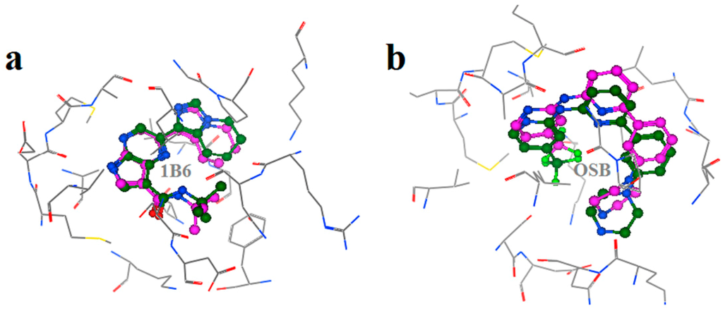 Ijms 15 17188 g006 1024