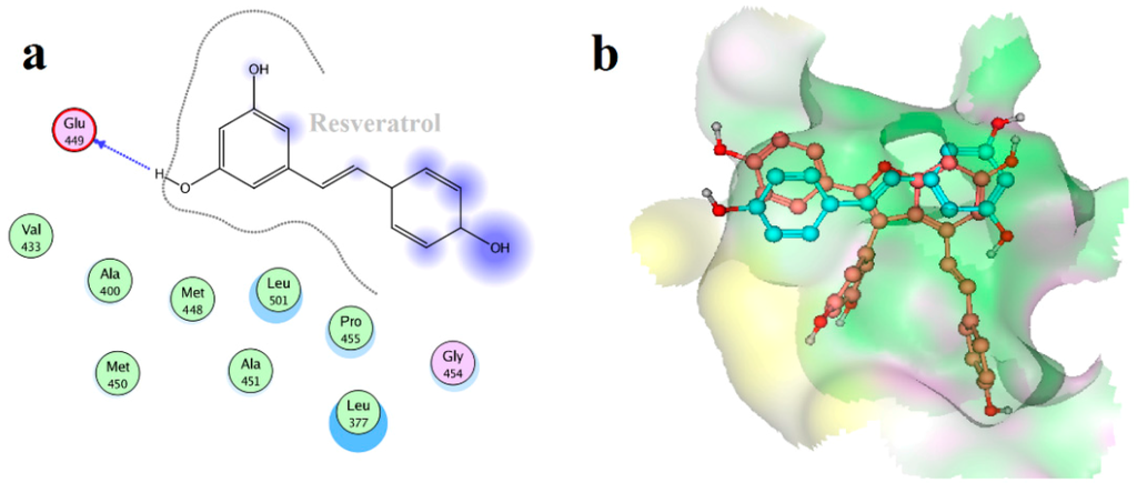 Ijms 15 17188 g011 1024