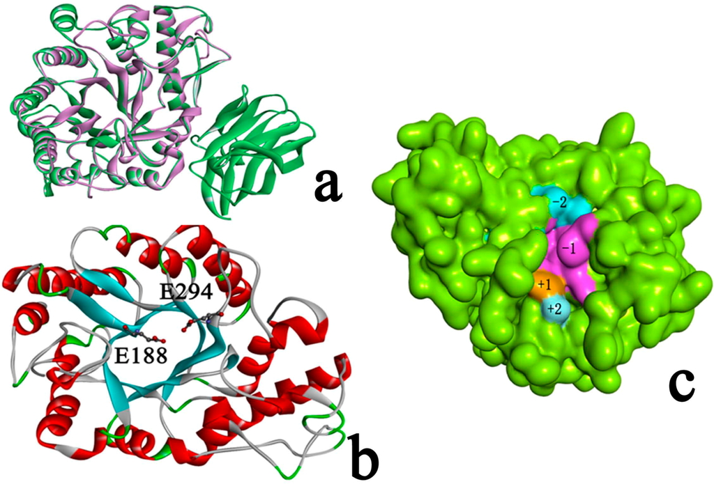 Ijms 15 17284 g004 1024