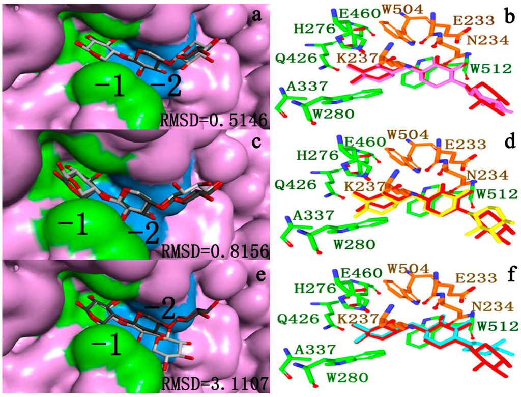 Ijms 15 17284 g007 1024