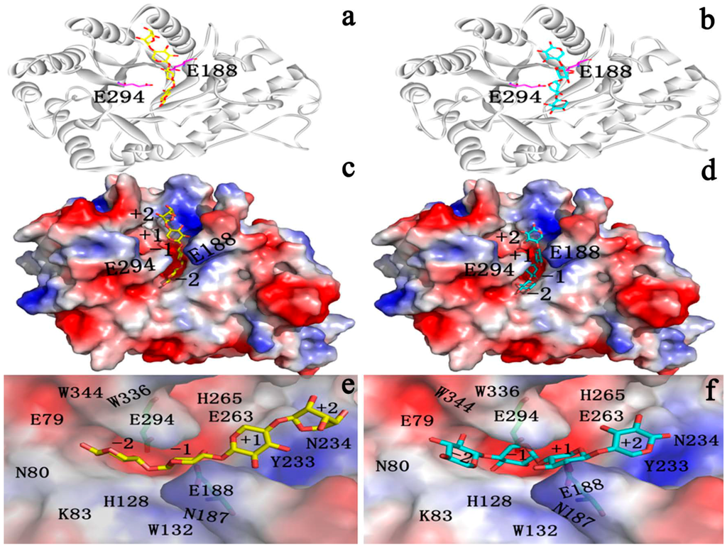 Ijms 15 17284 g008 1024