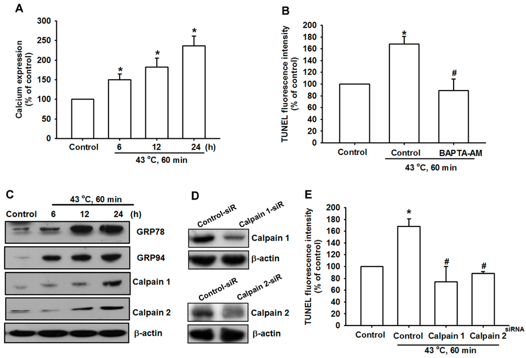 Ijms 15 17380 g004 1024