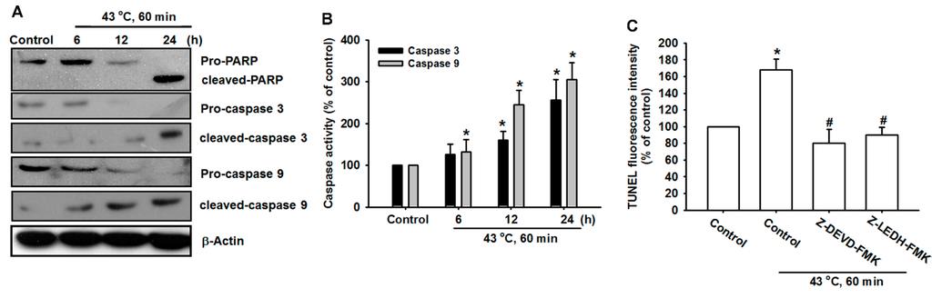 Ijms 15 17380 g005 1024