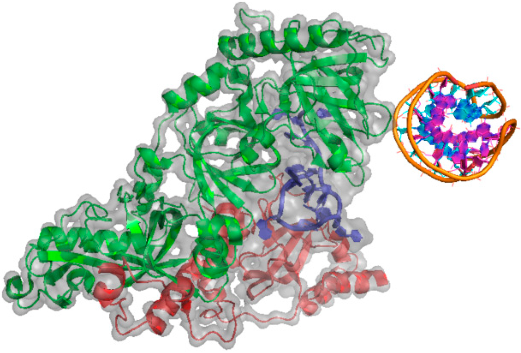 Ijms 15 17493 g003 1024