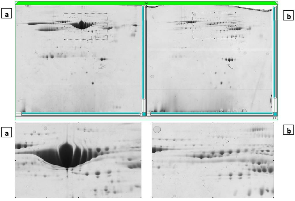 Ijms 15 17518 g001 1024