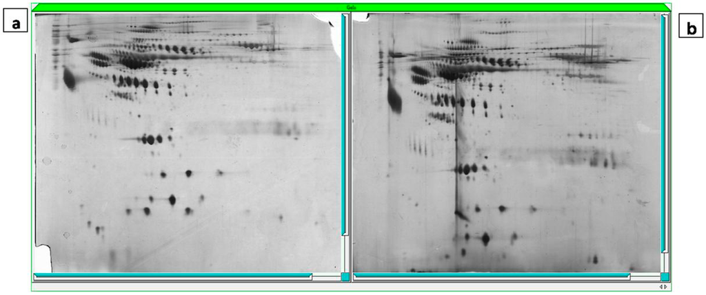 Ijms 15 17518 g002 1024