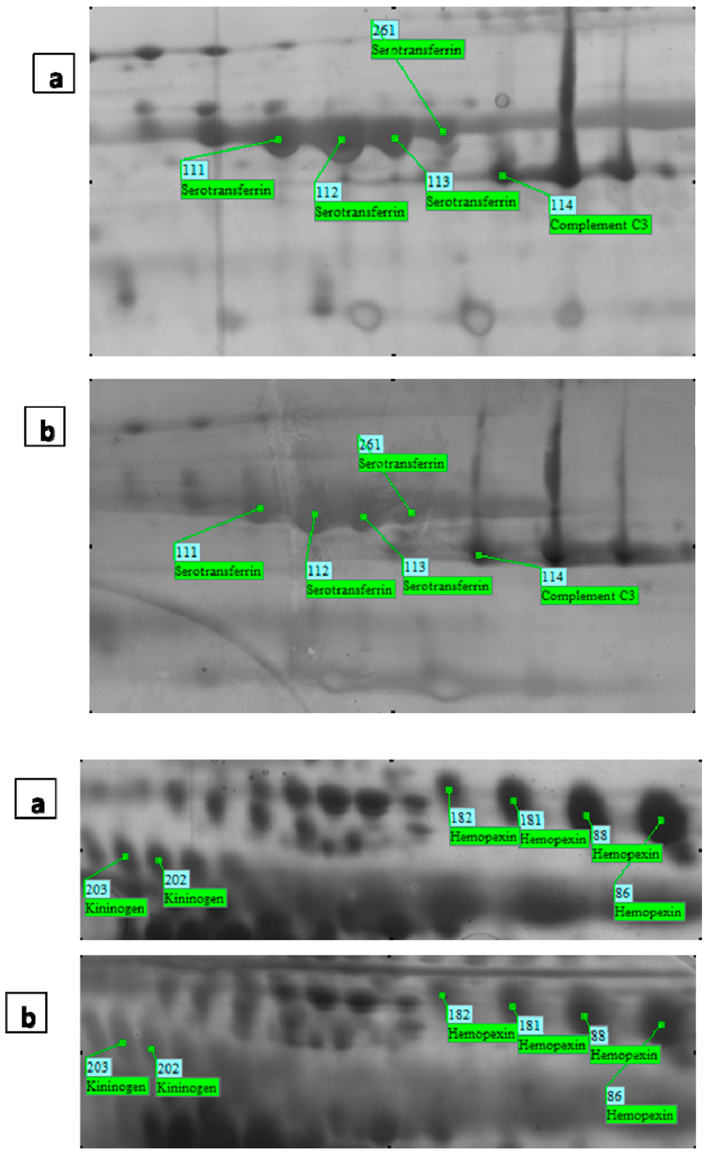 Ijms 15 17518 g003 1024